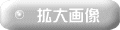 拡大画像 拡大画像